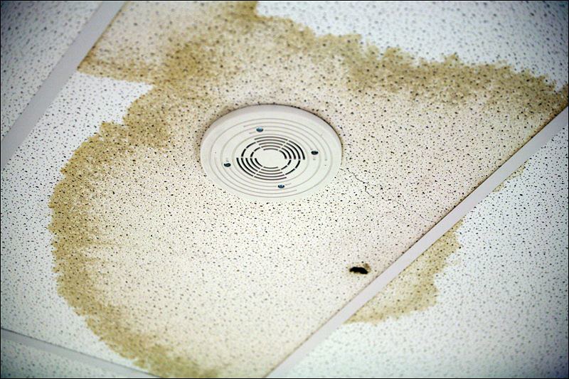 Roof Leak Stain Mandurah WA