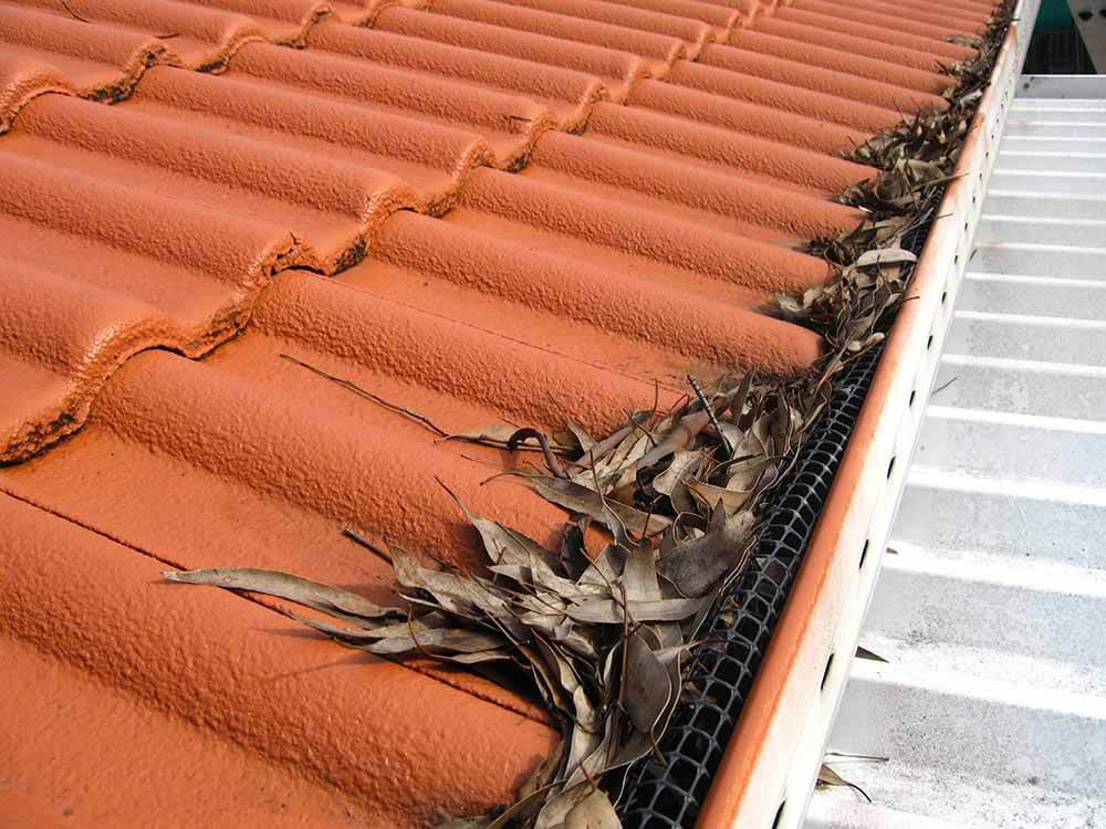 Vital Gutter Maintenance Tips